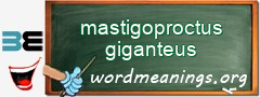 WordMeaning blackboard for mastigoproctus giganteus